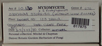 Image Associated With the Occurence